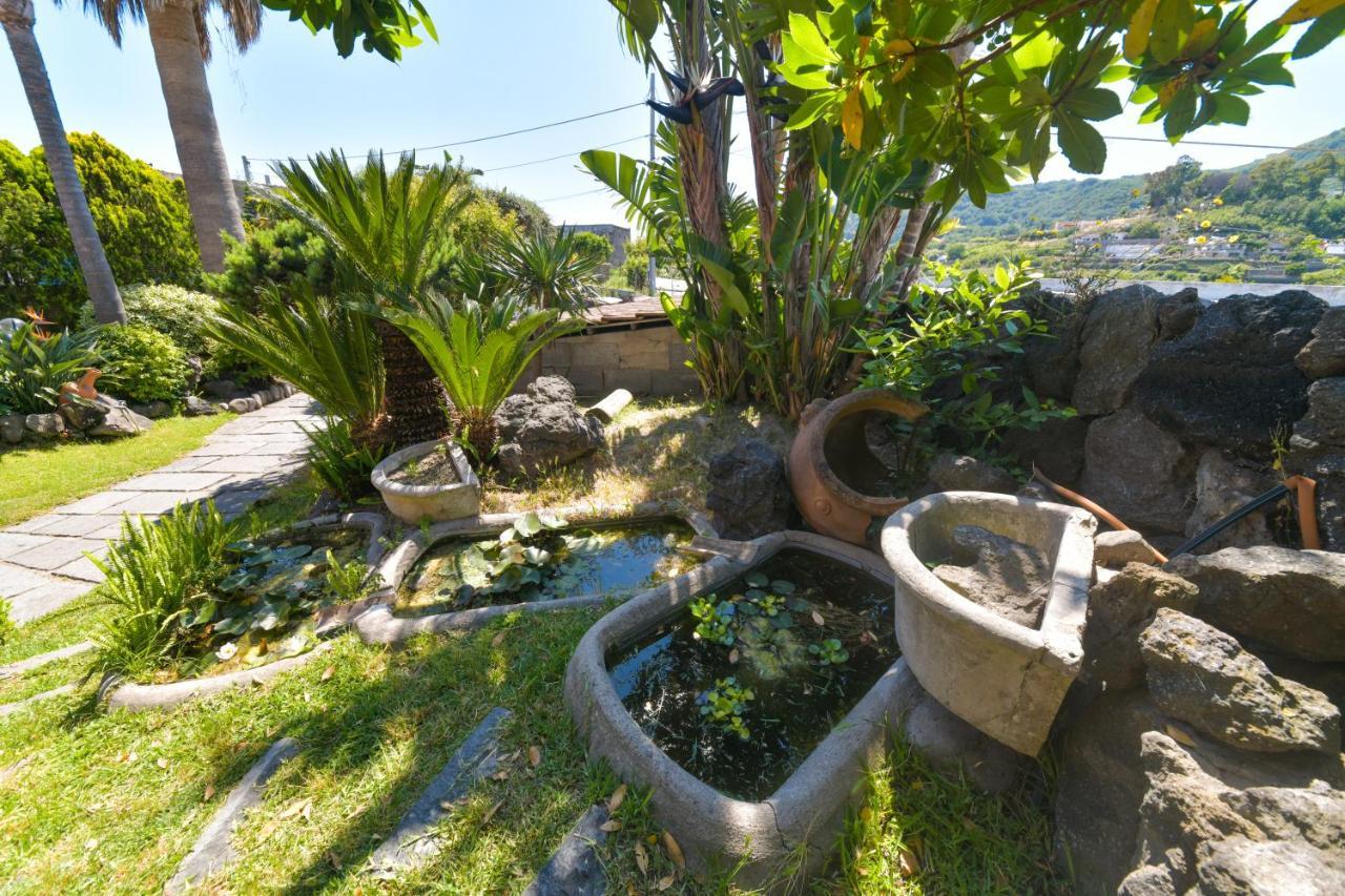 Villa Stefania Barano dʼIschia Exteriör bild